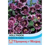 Thompson & Morgan Hollyhock Creme De Cassis 1 Seed Packet (50 Seeds + 50% Extra Free), Purple