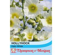Thompson & Morgan Hollyhock Halo White 1 Seed Packet (50 Seeds)