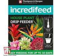 Thompson & Morgan Incredifeed House Plant Drip Feeder x 10