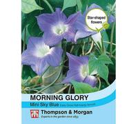 Thompson & Morgan Ipomoea Hirsuta Morning Glory Mini Sky Blue 1 Seed Packet (30 Seeds)