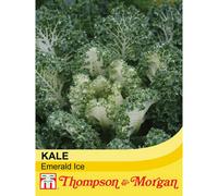 Thompson & Morgan Kale Emerald Ice 1 Seed Packet (20 Seeds)