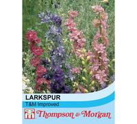 Thompson & Morgan Larkspur T&M Improved Mixed 1 Seed Packet (400 Seeds), Multi