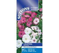 Thompson & Morgan Lavatera Beauty Mixed 1 Seed Packet (90 Seeds)