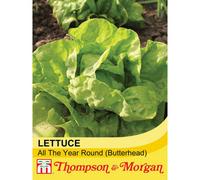 Thompson & Morgan Lettuce All The Year Round 1 Seed Packet (1000 Seeds)