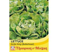 Thompson & Morgan Lettuce (Butterhead) Arctic King 1 Seed Packet