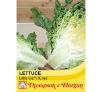 Thompson & Morgan Lettuce Little Gem 1 Seed Packet (1000 Seeds)