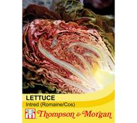 Thompson & Morgan Lettuce (Romaine/cos) Intred 1 Seed Packet (200 Seeds)