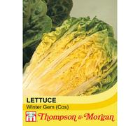 Thompson & Morgan Lettuce (Romaine/cos) Winter Gem 1 Seed Packet (150 Seeds)