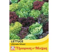 Thompson & Morgan Lettuce Ultimate Mixed 1 Seed Packet (200 Lettuce Seeds)