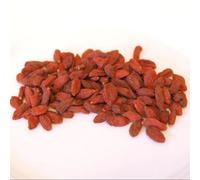 Thompson & Morgan Thompson & Morgan Lycium barbarum (Goji Berry) No.1 Lifeberry 9cm Potted Plant x 2