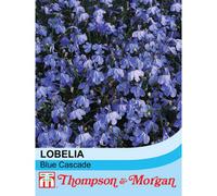 Thompson & Morgan Lobelia Blue Cascade 1 Packet (1000 Seeds), Blue