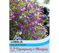 Thompson & Morgan Lobelia Cascade Mix 1 Seed Packet (1000+ Seeds), Purple