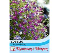 Thompson & Morgan Lobelia Cascade Mixed 1 Packet (1000 Seeds + 25% Extra Free)