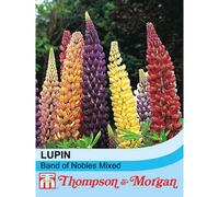 Thompson & Morgan Lupin Band Of Nobles Mixed 1 Packet (35 Seeds)