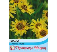 Thompson & Morgan Madia Elegans Tropical Fruits 1 Packet (50 Seeds)