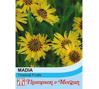 Thompson & Morgan Madia Elegans Tropical Fruits 1 Seed Packet (200 Seeds)