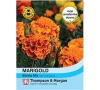 Thompson & Morgan Marigold Bonita Mixed 1 Packet (200 Seeds), Orange