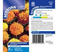 Thompson & Morgan Marigold French Boy-O-Boy Mix 1 Seed Packet (120), Orange