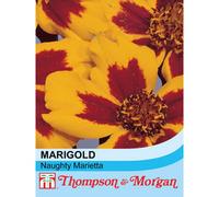 Thompson & Morgan Marigold Naughty Marietta Rhs Kids 1 Packet (100 Seeds)