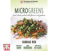 Thompson & Morgan Microgreens Cabbage Red 1 Seed Packet (300 Seeds)