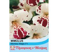 Thompson & Morgan Mimulus Monkey Magic F1 Hybrid 1 Seed Packet (40 Seeds)