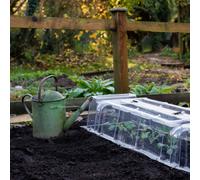 Thompson & Morgan Mini Greenhouse 2 Cloches 4 Ends + Stakes