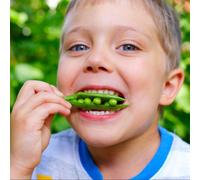 Thompson & Morgan Mini Sweet Garden Peas - Easy Grow High Yield Compact Pest Resistant. 1 Seed Packet.
