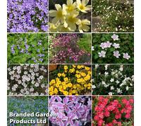 Thompson & Morgan Mixed Alpine Collection - 5 Plants