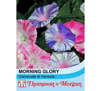 Thompson & Morgan Morning Glory Carnevale Di Venezia 1 Seed Packet (35 Seeds), Multi
