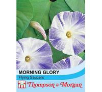 Thompson & Morgan Morning Glory Flying Saucers 1 Seed Packet (35 Seeds), Blue