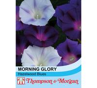 Thompson & Morgan Morning Glory Hazelwood Blues 1 Packet (35 Seeds), Blue