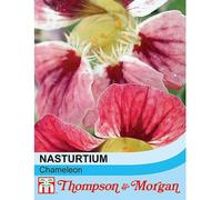 Thompson & Morgan Nasturtium Chameleon 1 Seed Packet (20 Seeds)
