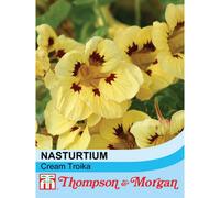 Thompson & Morgan Nasturtium Cream Troika 1 Packet (30 Seeds), Yellow