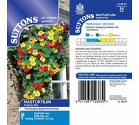 Thompson & Morgan Nasturtium Dayglow Mix 1 Seed Packet (35 Seeds)