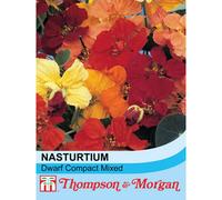Thompson & Morgan Nasturtium Dwarf Compact Mixed 1 Seed Packet (50 Seeds)