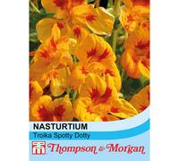 Thompson & Morgan Nasturtium Troika Spotted Dotty 1 Packet (20 Seeds)
