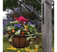 Thompson & Morgan Natural Garden Hanging Baskets & Liners Perfect for Trailing Plants and Flowers 30cm Metal Hanging Basket Frames & Coconut Husk Liners (1)