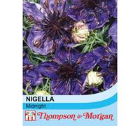 Thompson & Morgan Nigella Midnight 1 Packet (350 Seeds)