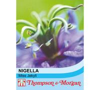 Thompson & Morgan Nigella Miss Jekyll 1 Packet (685 Seeds)