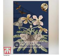 Thompson & Morgan Night Scented Stock Promo New Kew Range 1 Seed Packet (1,100 Seeds)