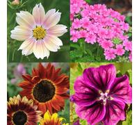 Thompson & Morgan Nurserymans Choice Flower Seed 100 Packets (Tm)