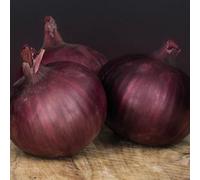 Thompson & Morgan Onion Redlander F1 1 Seed Packet
