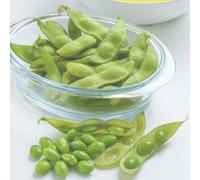 Thompson & Morgan Organic Dwarf French Bean Faraday Seeds - Compact Bush Stringless Tender Pods Early Cropping High Yield Excellent Flavour