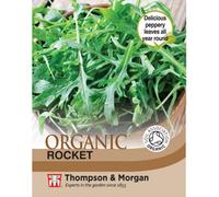 Thompson & Morgan Organic Herb Rocket 1 Seed Packet, Green