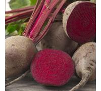 Thompson & Morgan Organic Rote Kugel Beetroot Seeds - Deep Red Sweet & Tender - Perfect For Salads Roasting Cooking