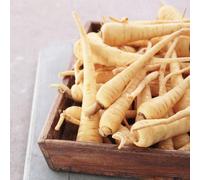 Thompson & Morgan Parsnip Arrow Seeds - Sweet Coreless Roots For Containers & High-Density Growing - 100 Seeds