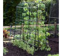 Thompson & Morgan Pea and Bean Tunnel 1.8 x 1.8m