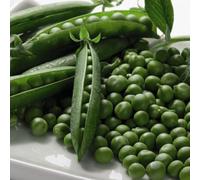Thompson & Morgan Pea Boogie 1 Seed Packet (250 Seeds), Green