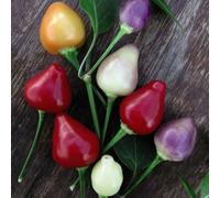 Thompson & Morgan Pepper Capsicum Baccatum Chilli Spangles 1 Seed Packet, Multi