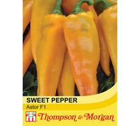 Thompson & Morgan Pepper Sweet Astor F1 Hybrid 1 Seed Packet (8 Seeds)